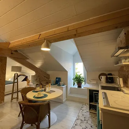Daire Studio Confortable Avec Vue Sur Riviere Et Jardin, Equipements Inclus - Fr-1-489-498 Hérisson