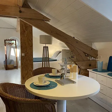 Studio Confortable Avec Vue Sur Riviere Et Jardin, Equipements Inclus - Fr-1-489-498 Daire